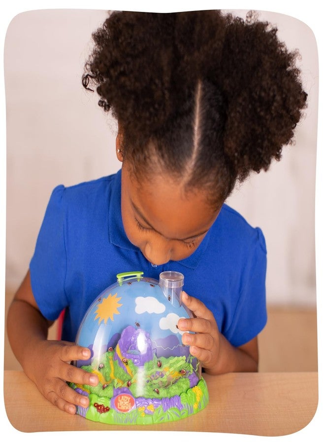 Insect Lore Ladybug Land with Prepaid Voucher - Redeem Voucher for 10-15 Native Ladybug Larvae - Diorama Style Ladybug Habitat for Kids - Observe, Raise, & Release Adult Ladybugs - Image 2