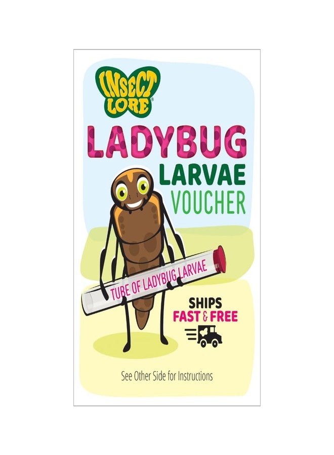 Insect Lore Ladybug Land with Prepaid Voucher - Redeem Voucher for 10-15 Native Ladybug Larvae - Diorama Style Ladybug Habitat for Kids - Observe, Raise, & Release Adult Ladybugs - Image 5