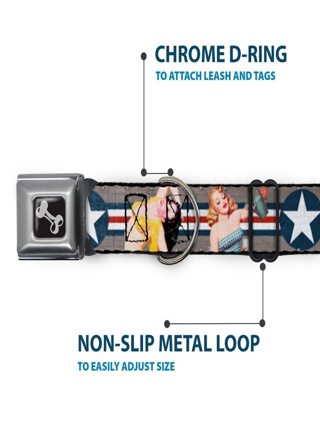 Buckle Down Dog Collar Seatbelt Buckle Pin Up Girl Poses Close Up Star Stripes Gray Blue White Red 11 to 17 Inches 1.0 Inch Wide - Image 5
