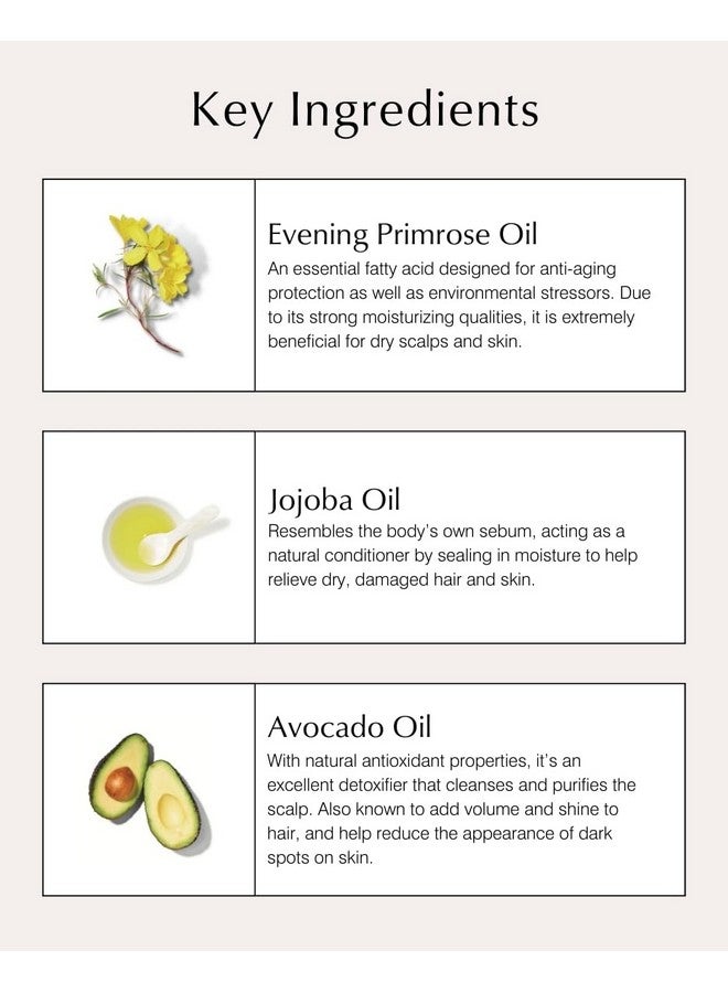 John Masters Organics - Shampoo for Dry Hair with Evening Primrose Good for Thinning, & Color Treated Hair - Moisturizer Infused with Essential Oils, Proteins, & Amino Acids - Sulfate Free - 8 fl oz (Pack of 1) - Image 5