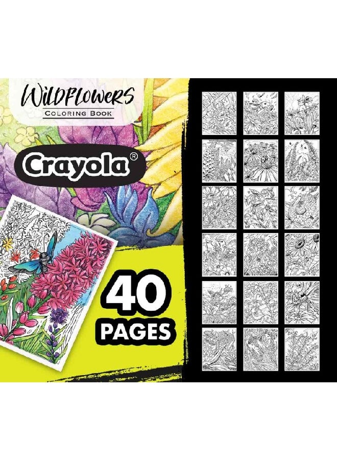 كرايولا كتاب تلوين الزهور البرية يحتوي على 40 صفحة، متعدد الألوان، بأبعاد تقريبية 25.4 × 21.59 × 0.63 سم CRA0411350000 - Image 3