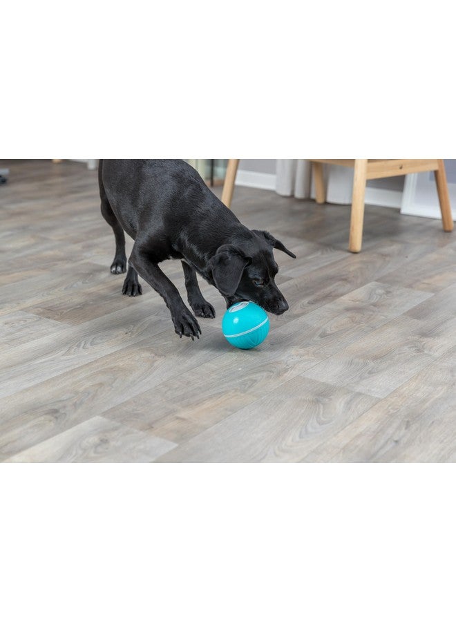 تريكسي كرة الوجبات الخفيفة للقطط والكلاب - الحل الأمثل لتناول الوجبات الخفيفة بشكل مريح ومحكم لحيواناتك الأليفة (14 سم، أزرق) - Image 2