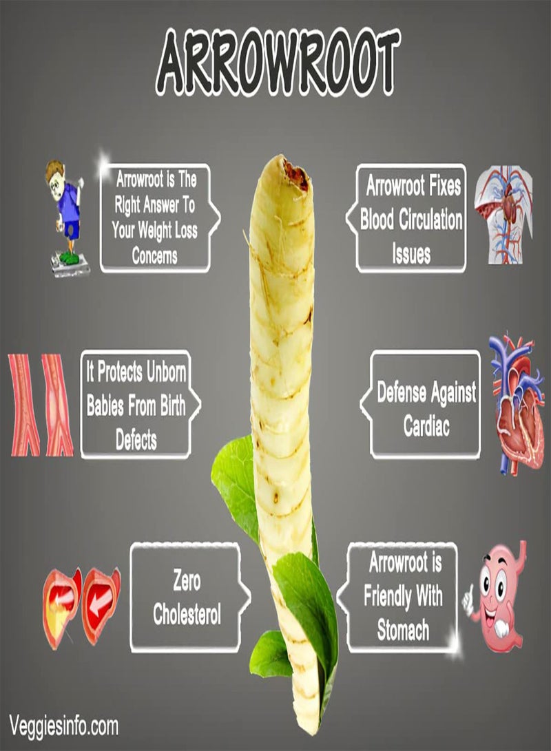 GGOOT 100-gram Arrowroot powder, Kudzu Flour, Kudzu powder, kudzu starch, Manioc Flour, Pure Arrow Root Starch Non-GMO Thickener, Macrobiotics, Gluten Free Kuzu Kudzu Kuzuko Flour Manioc Powder - Image 5