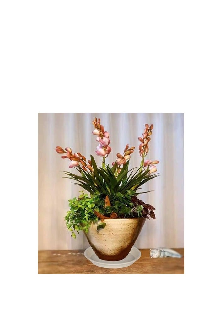 , Planter Pot, Planter Tray Saucer Pots, Planter Tray, Plant Saucers, Plastic Plant Saucers, Shallow Trays Flower Pot for Indoor and Outdoor Plants Beige (5, 25cm) - Image 3