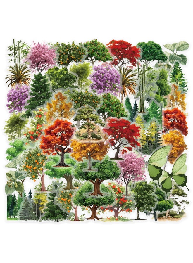 NIBEMINENT 50 Pcs Jungle Secret Words Deco Kit Waterproof Stickers, High Definition Printing Bright Colors, Suitable for Laptop Skateboard Luggage Water Bottle Guitar DIY - Image 2