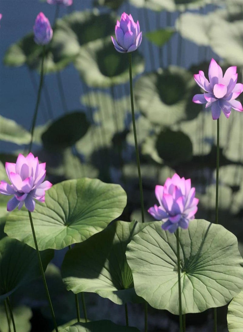 GGOOT 30 Seeds - Lotus Seeds for Planting Bonsai Pink Nelumbo Nucifera (A.k.a. Sacred Lotus, Laxmi Lotus, Or Indian Lotus) Seeds | Pink Lotus Seeds -  - Image 3