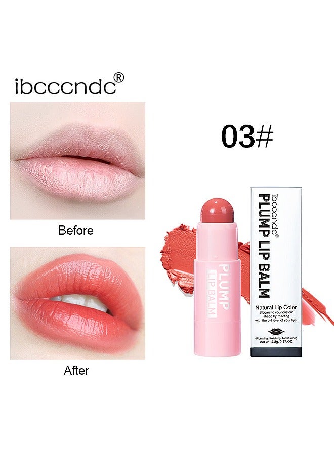 ibcccndc Plump Lip Balm - Natural Lip Golor - Natural Gloss Finish - Lasting Hydration - Image 2