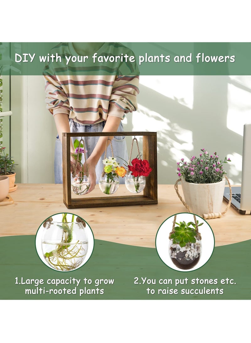 Generic Desktop Hydroponic Plant Propagation Station with Wooden Stand, Stylish Glass Planters for Air Plants, Ideal for Home and Office Decor, Ideal Gift for Plant Lovers  - Image 2