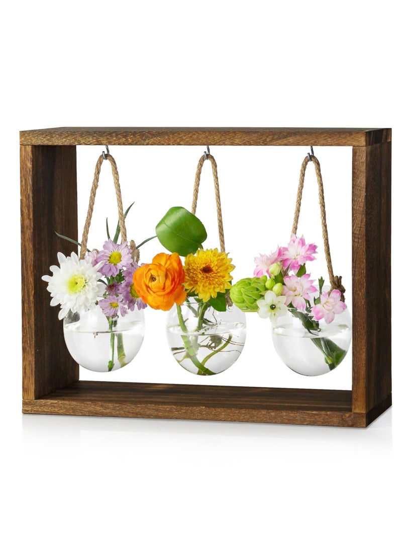 Generic Desktop Hydroponic Plant Propagation Station with Wooden Stand, Stylish Glass Planters for Air Plants, Ideal for Home and Office Decor, Ideal Gift for Plant Lovers  - Image 1