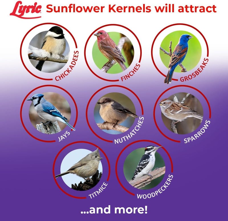 Lyric Sunflower Kernels Wild Bird Seed No Waste Bird Food Attracts Finches & More 5 lb. bag - Image 5