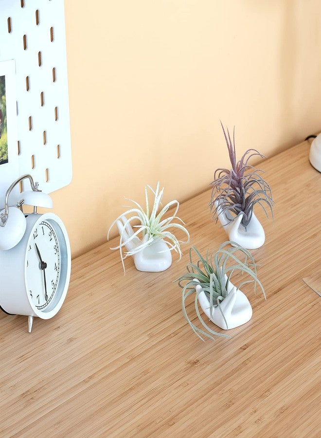 Dahey 3 Pcs Mini Ceramic Air Plant Stand - Home Decor for Desk, Table, Shelf - Image 2