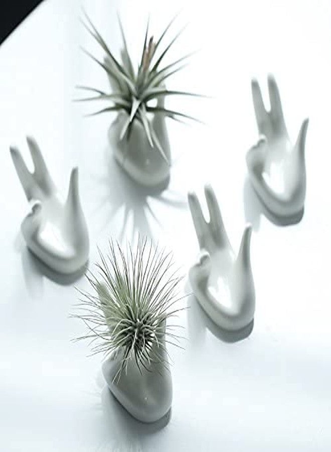 Dahey 3 Pcs Mini Ceramic Air Plant Stand - Home Decor for Desk, Table, Shelf - Image 5