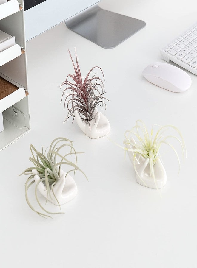 Dahey 3 Pcs Mini Ceramic Air Plant Stand - Home Decor for Desk, Table, Shelf - Image 3