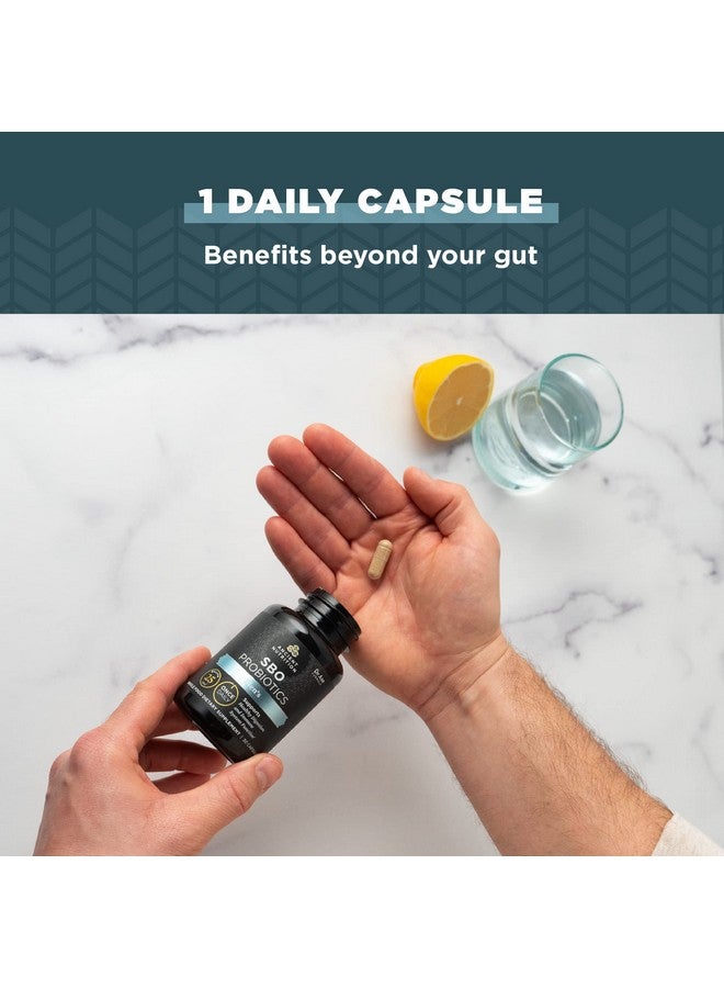 Ancient Nutrition بروبيوتيك للرجال سبو بروبيوتيك للرجال مرة واحدة يوميًا 30 حبة لدعم الهضم الصحي ووظيفة جهاز المناعة 25 مليار وحدة تشكيل مستعمرة* لكل حصة - Image 5