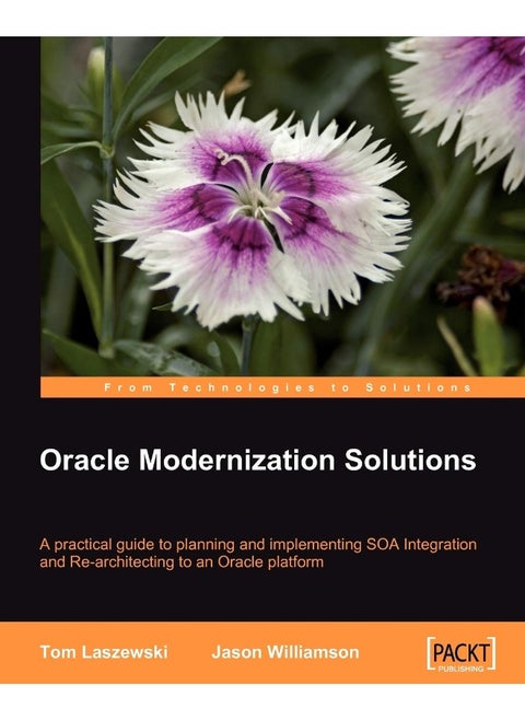 Oracle Modernization Solutions