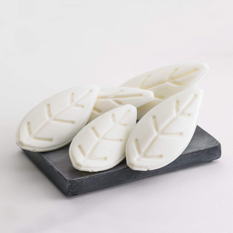 Westin White Tea Leaf Soap  Nourishing Bars of Soap with Signature White Tea Aloe Scent  Individually Wrapped Bars Leaf  5 Pack
