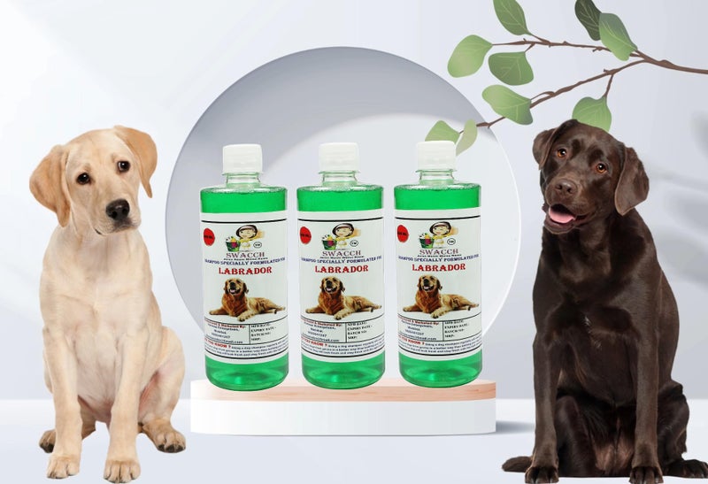 Swacch Shampoo Specially Formulated for Labrador (500ml) (Pack of 3) Neem Alovera - Image 1