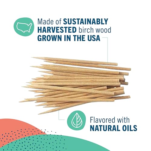 Preserve Toothpicks Cinnamint Refreshing Natural Cinnamon & Mint Flavored Toothpicks for Fresh Breath Teeth & Gums - Sustainably Harvested Birch Wood - 24 Travel Cases (840 Picks) - Image 2
