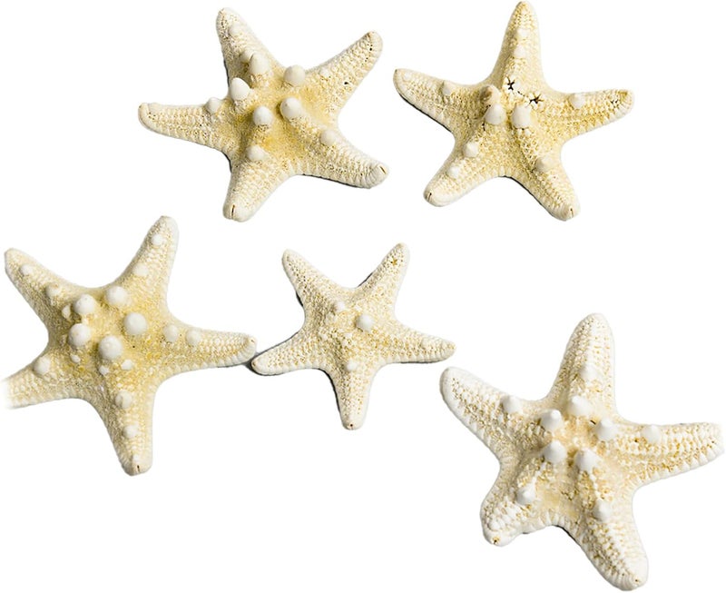 Fish Tank Starfish Decorative Unique Set for DIY Photo Frame Wind, Durable Fish Tank Ornament for Home Aquarium Crafts, Gift Choice for Decoration Lovers (5 pcs) (Type 1 (5‑7.5cm / 2‑3in)) - Image 2