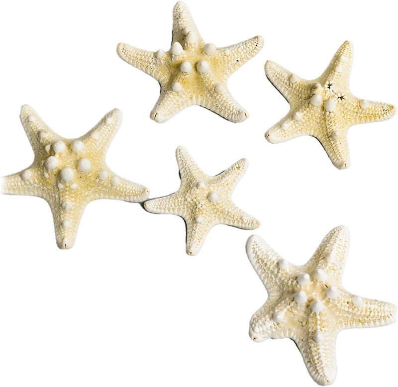 Fish Tank Starfish Decorative Unique Set for DIY Photo Frame Wind, Durable Fish Tank Ornament for Home Aquarium Crafts, Gift Choice for Decoration Lovers (5 pcs) (Type 1 (5‑7.5cm / 2‑3in)) - Image 4