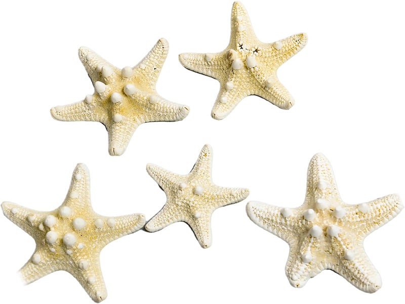 Fish Tank Starfish Decorative Unique Set for DIY Photo Frame Wind, Durable Fish Tank Ornament for Home Aquarium Crafts, Gift Choice for Decoration Lovers (5 pcs) (Type 1 (5‑7.5cm / 2‑3in)) - Image 1