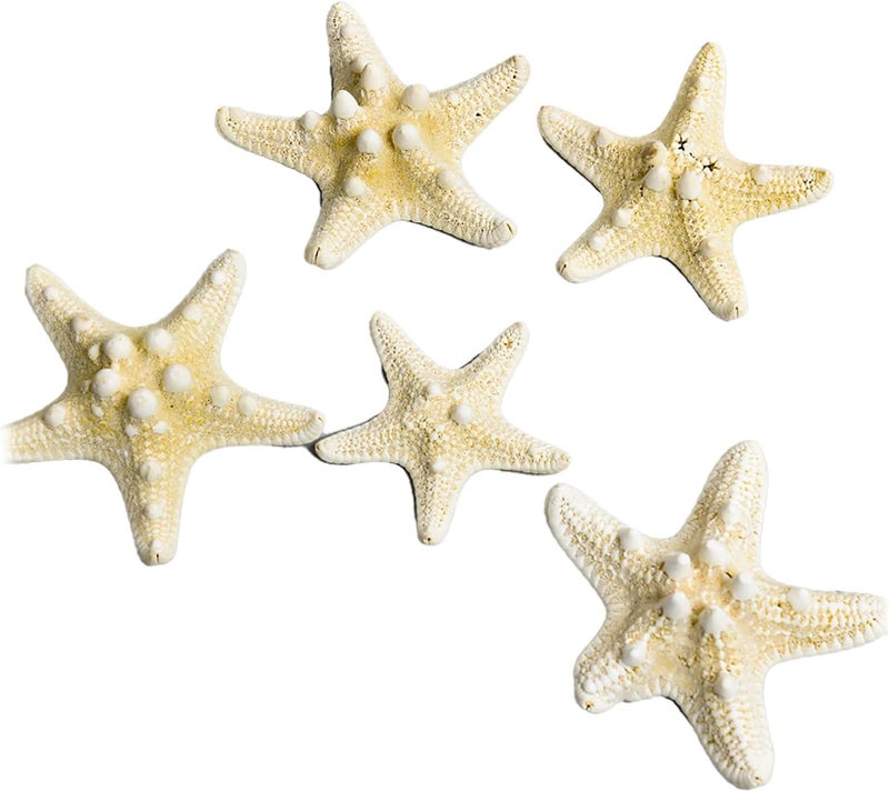 Fish Tank Starfish Decorative Unique Set for DIY Photo Frame Wind, Durable Fish Tank Ornament for Home Aquarium Crafts, Gift Choice for Decoration Lovers (5 pcs) (Type 1 (5‑7.5cm / 2‑3in)) - Image 5
