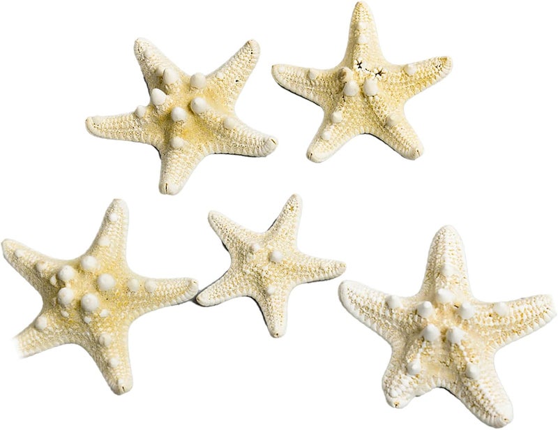 Fish Tank Starfish Decorative Unique Set for DIY Photo Frame Wind, Durable Fish Tank Ornament for Home Aquarium Crafts, Gift Choice for Decoration Lovers (5 pcs) (Type 1 (5‑7.5cm / 2‑3in)) - Image 3