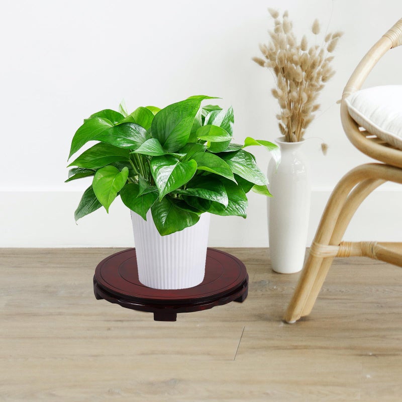 Black Rosewood Display Stand Pedestal Base for Vase Plant and Collectibles - Image 5