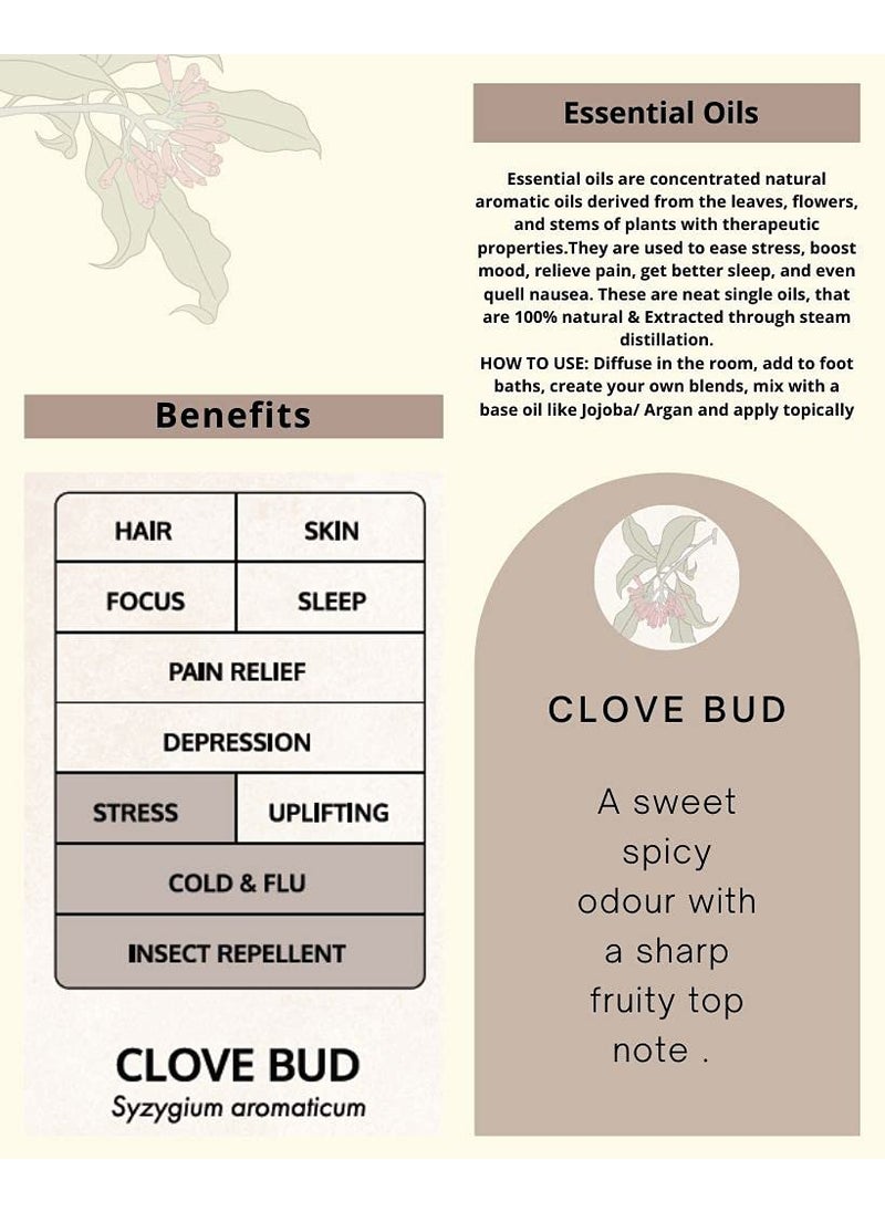 Satianu Satianu Pure Natural Clove Bud Therapeutic Essential Oil for Aromatherapy Hair Skin Care Helps in Toothaches Cold Pain Relieves Stress Helps in Sleep 10 ML  - Image 2