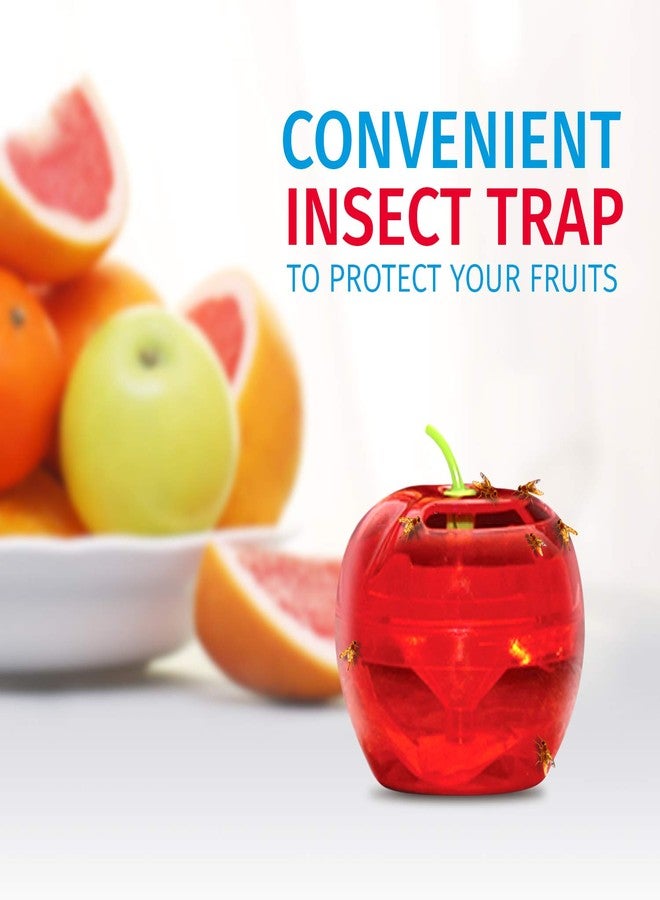 RAID Fruit Fly Traps for Indoors by Raid | 2 Lures + 2 Refills | Effective Fruit Fly Trap for Indoor Use | Fruit Fly Killer & Gnat Traps for House Indoor | Easy to Use & Safe Food-Based Lure Fly Catcher - Image 2