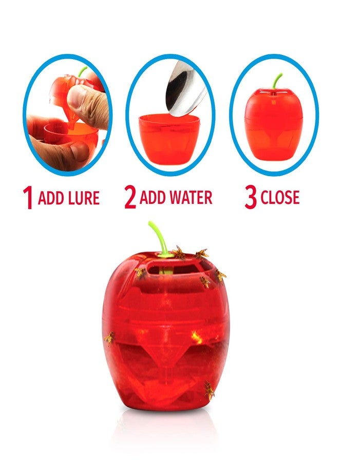 RAID Fruit Fly Traps for Indoors by Raid | 2 Lures + 2 Refills | Effective Fruit Fly Trap for Indoor Use | Fruit Fly Killer & Gnat Traps for House Indoor | Easy to Use & Safe Food-Based Lure Fly Catcher - Image 5