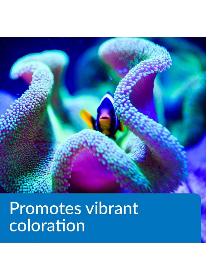 API MARINE COMPLETE TRACE Aquarium Water Conditioner 16-Ounce Bottle - Image 4