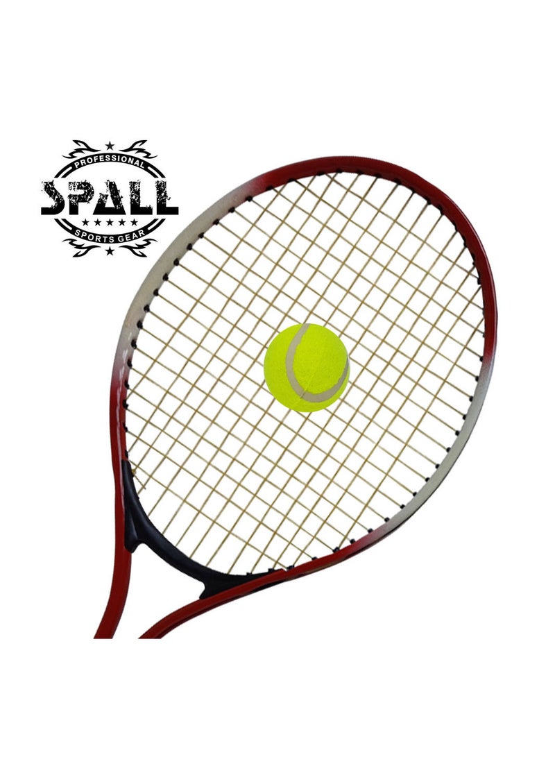 سبال طقم مضرب تنس الريشة من سبال - معدات تدريب تنس الريشة للرجال والنساء - Image 2