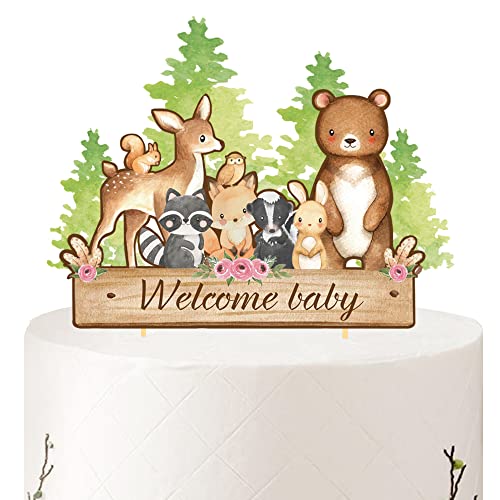 Aukolass Woodland Animals Cake Topper Welcome Baby Theme Super Cute Zoo Cake Picks for Woodland Animal Party Supplies Decorations - Image 1