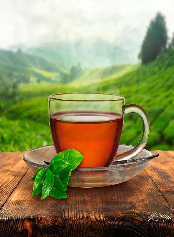 Red Rose Orange Pekoe Tea Bags 72ct, (Imported from Canada) - Image 3
