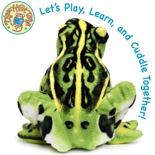 TigerHart Frisco The Frog - 10 Inch Poison Dart Tree Toad Stuffed Animal Plush - Image 5