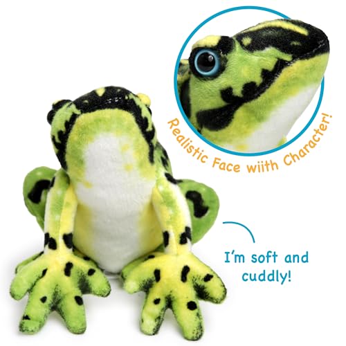 TigerHart Frisco The Frog - 10 Inch Poison Dart Tree Toad Stuffed Animal Plush - Image 4