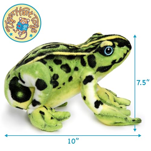 TigerHart Frisco The Frog - 10 Inch Poison Dart Tree Toad Stuffed Animal Plush - Image 3