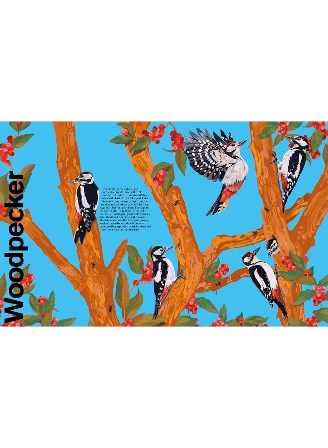 Undercover Birds - Image 4