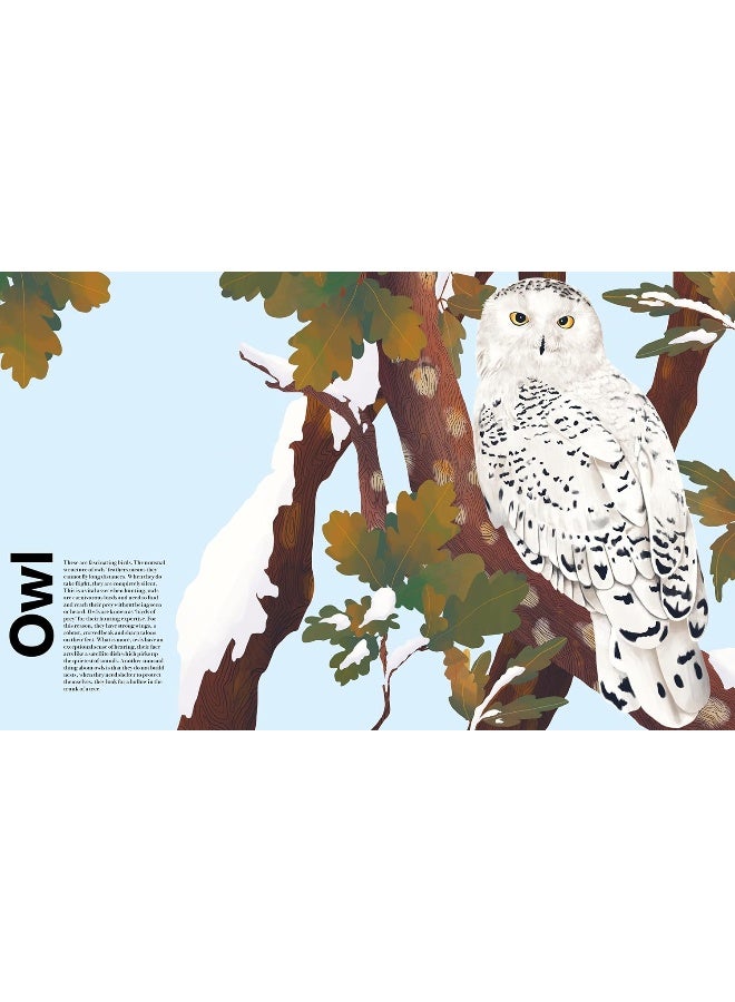 Undercover Birds - Image 3