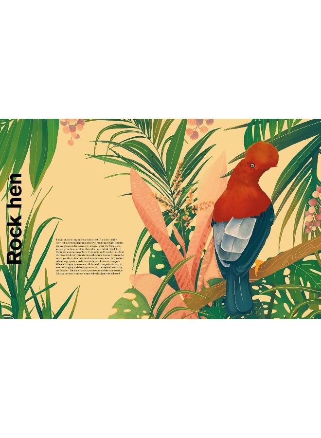 Undercover Birds - Image 2