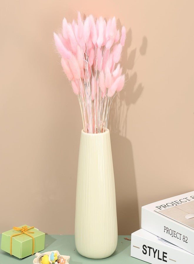 باتيكيل زهور مجففة على شكل ذيول أرنب من باتيكيل، طولها 15.7 بوصة، 70 قطعة من عشب البامباس لتزيين المنزل، عشب بامباس طبيعي، عشب بامباس صناعي مجفف، لون وردي، مناسب لتزيين المنزل، ديكور بوهيمي، مزهرية، وحفلات الزفاف - Image 4