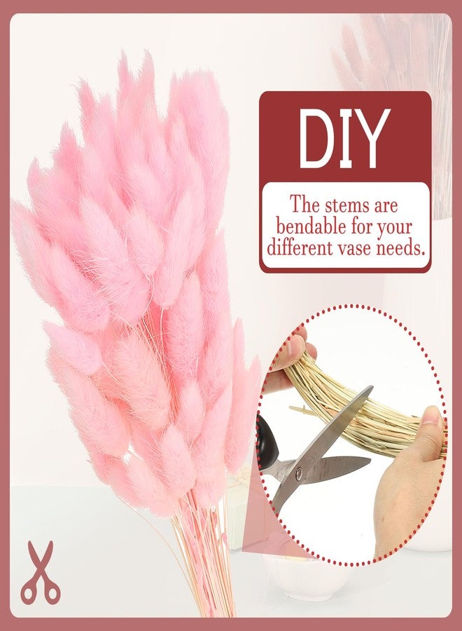 باتيكيل زهور مجففة على شكل ذيول أرنب من باتيكيل، طولها 15.7 بوصة، 70 قطعة من عشب البامباس لتزيين المنزل، عشب بامباس طبيعي، عشب بامباس صناعي مجفف، لون وردي، مناسب لتزيين المنزل، ديكور بوهيمي، مزهرية، وحفلات الزفاف - Image 3