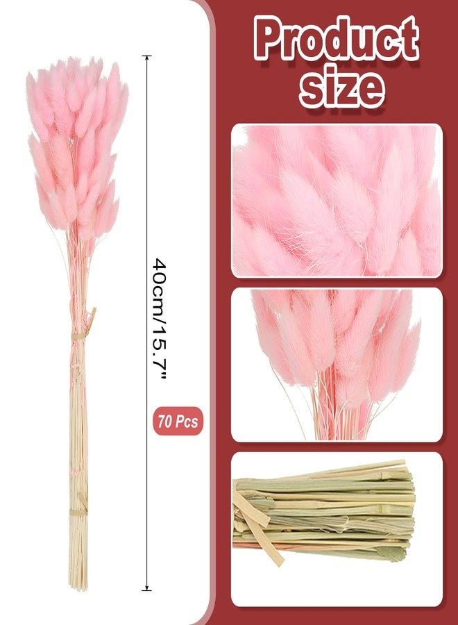 باتيكيل زهور مجففة على شكل ذيول أرنب من باتيكيل، طولها 15.7 بوصة، 70 قطعة من عشب البامباس لتزيين المنزل، عشب بامباس طبيعي، عشب بامباس صناعي مجفف، لون وردي، مناسب لتزيين المنزل، ديكور بوهيمي، مزهرية، وحفلات الزفاف - Image 2