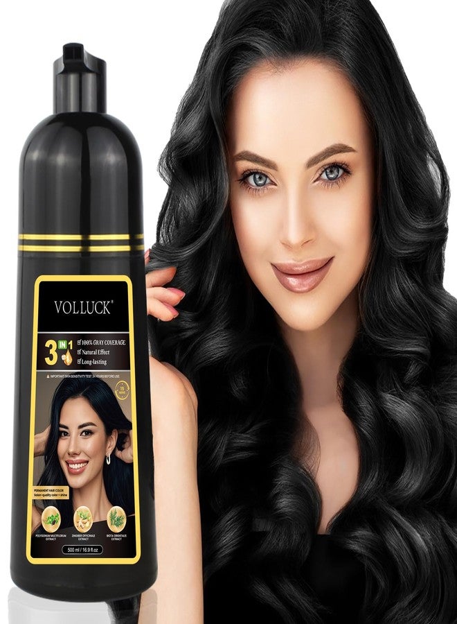 VOLLUCK Hair Dye Shampoo, Hair Dye Shampoo 3 in 1 Long Lasting Gray Hair Coverage for Women & Men (Black) - Image 1