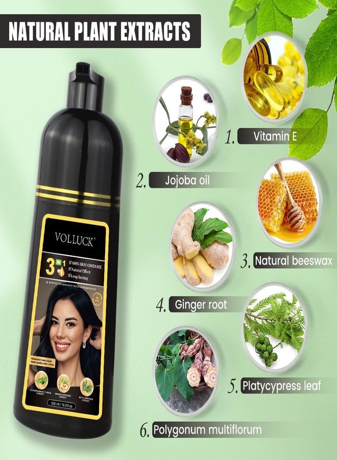 VOLLUCK Hair Dye Shampoo, Hair Dye Shampoo 3 in 1 Long Lasting Gray Hair Coverage for Women & Men (Black) - Image 2