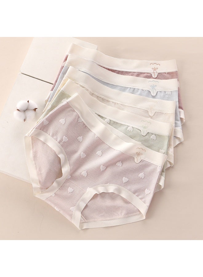 KUYING New Comfortable Skin friendly Breathable Underwear Set of 5  - Image 1