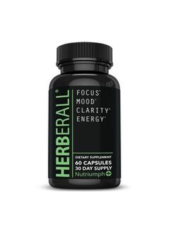 Nutriumph Herberall Best Nootropic Brain Focus Vitamins Memory & Concentration Supplements Focus Vitamins To Improve Memory Brain Boost Mental Focus Brain Fog And Clarity Brain Vitamins  - Image 2