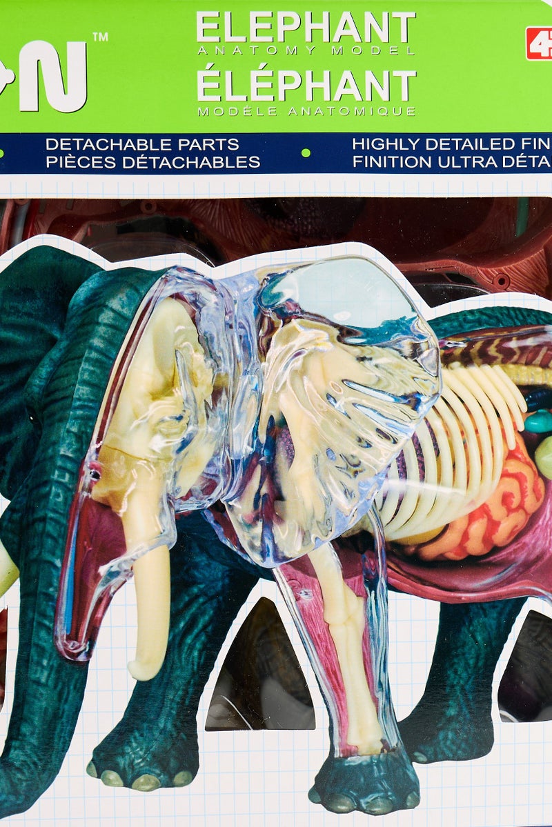 4D Master 29 Pcs 4D Vision Elephant Anatomy - Image 5