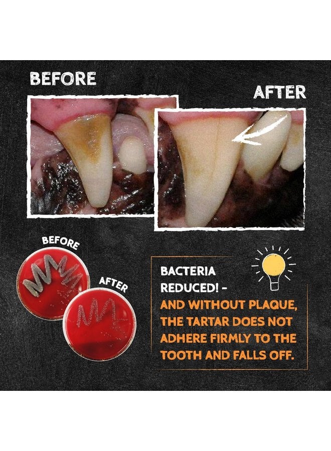 كشيفس QCHEFS Cheesies for Dogs - وجبة خفيفة لصحة الفم مع الأحماض الأمينية لمدة شهر* - Image 3